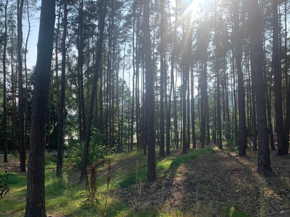 Gora Spokoju Osada Klimatyczna-Lesna Inowlodz Eksteriør bilde
