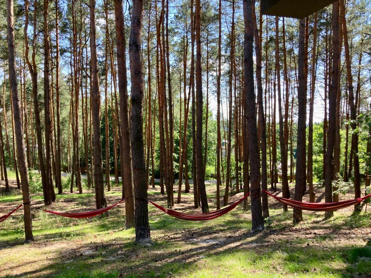 Gora Spokoju Osada Klimatyczna-Lesna Inowlodz Eksteriør bilde